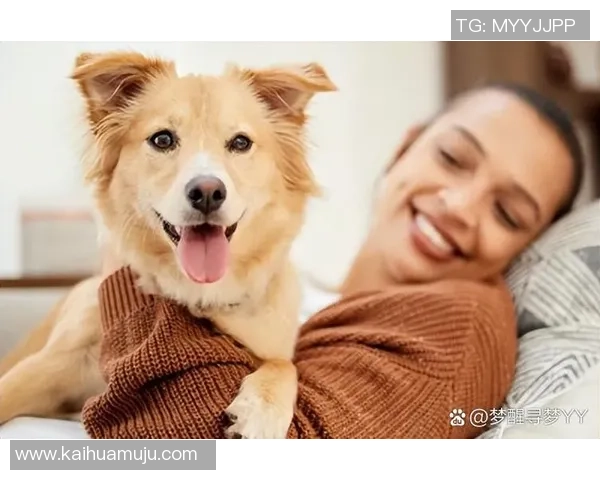 世界足球球星与他们的爱犬排名揭秘 哪位球员的宠物最具魅力