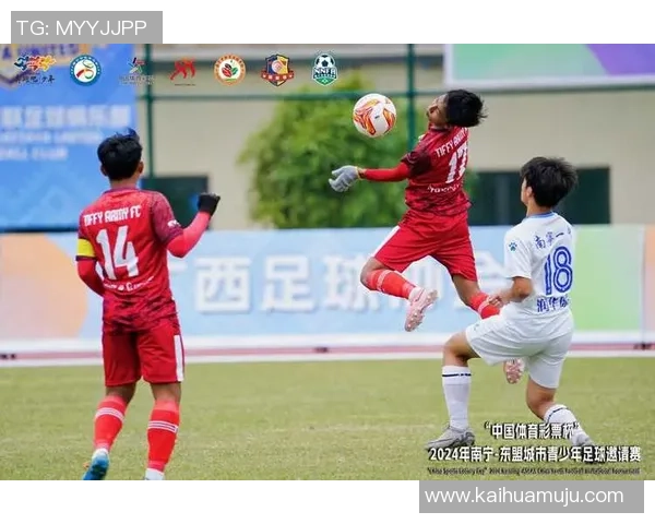 外国球星眼中的越南国家足球队发展与挑战分析